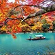 黑白体育